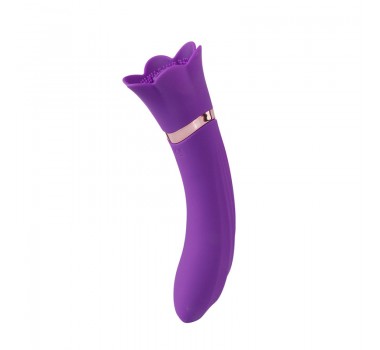 Sucktion Vibrator